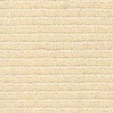 Ковролин Radici Solo Ivory 7000 фото 1 | FLOORDEALER